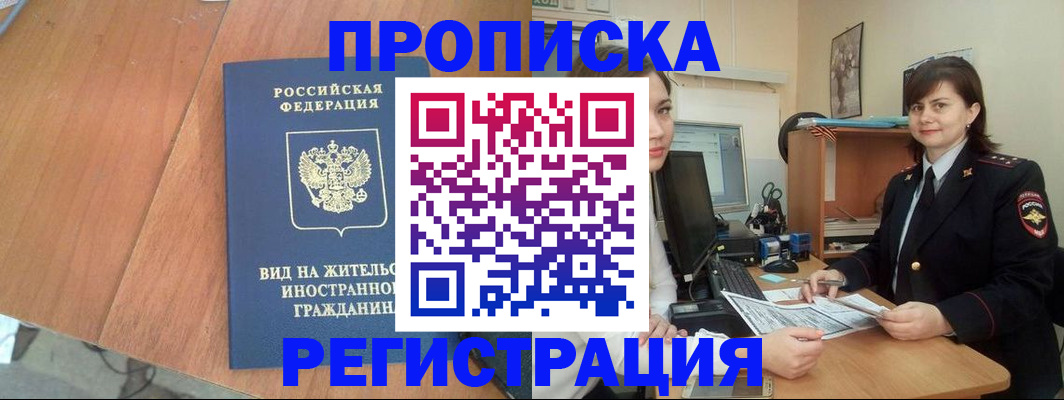 прописка в квартире в Кольчугино